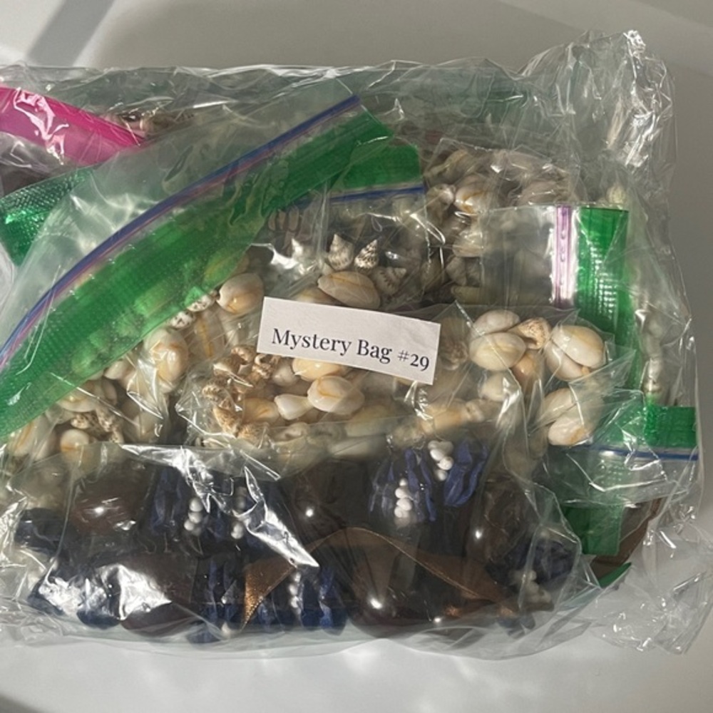 Assorted Shells and Beads Collection Mystery Jewelry Bag #29